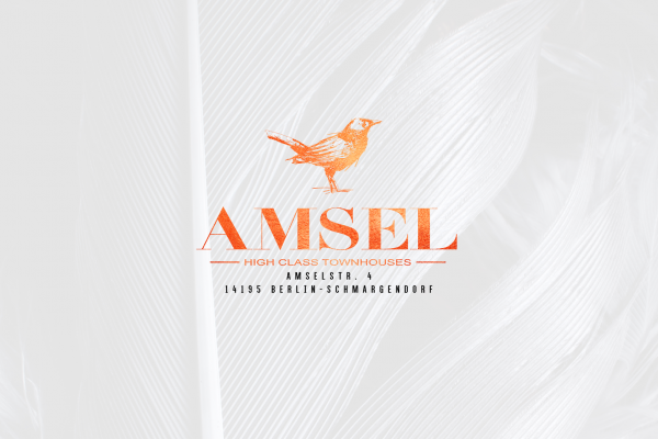 ams004